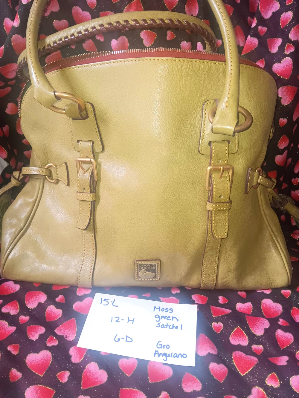 Dooney & Bourke Moss Green Leather Satchel